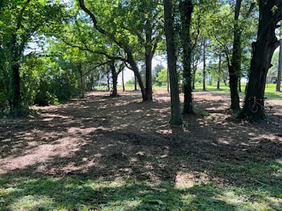 Land Clearing Montgomery TX - Sticks and Stones Land Management